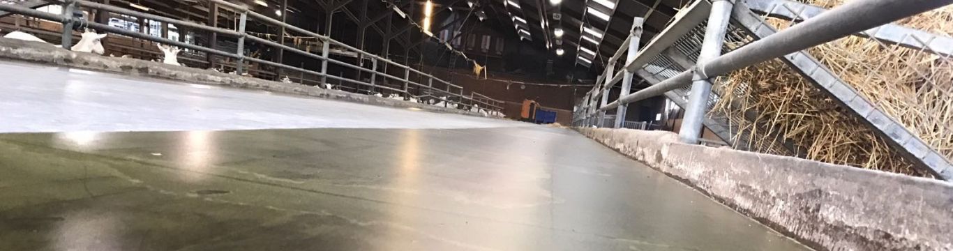 Agrarische vloer, stal vloer, vloer boerderij, vloer veeteelt, hygiënische vloer, voergang coating, 
