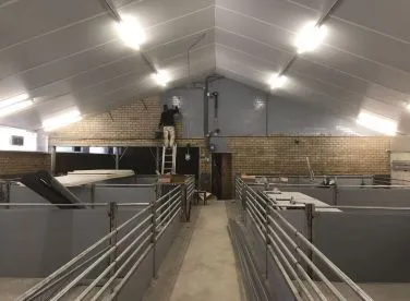 Wandcoating varkensstal, vloeistofdicht